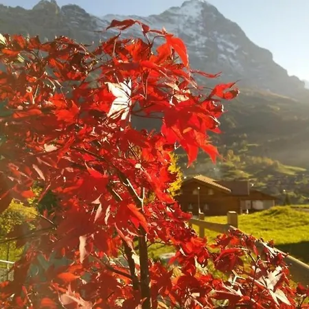 Chalet Stieregg, Studio Ost * Grindelwald