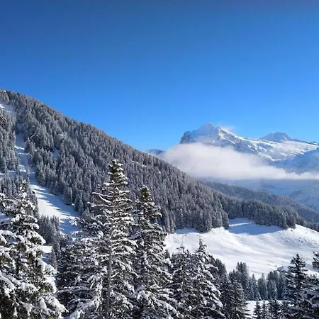 Chalet Stieregg, Studio Ost * Grindelwald
